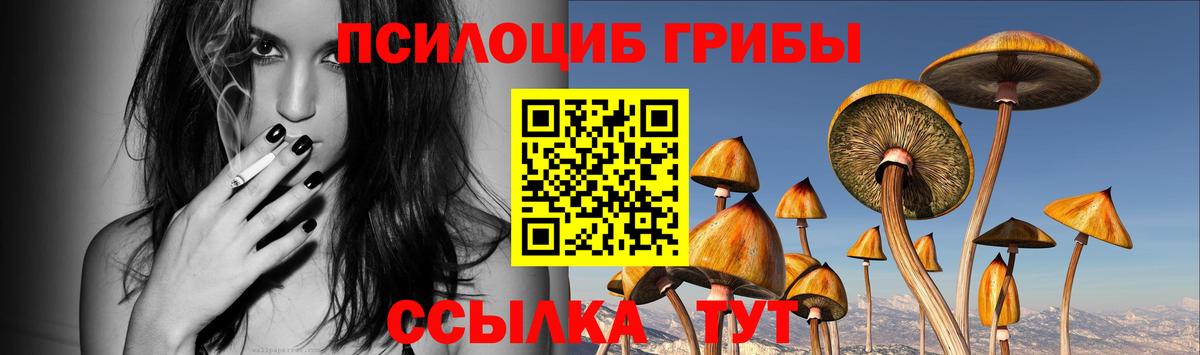 Галлюциногенные грибы Magic Shrooms  Псилоцибиновые грибы Psilocybe  Вход с VPN  Кстово 